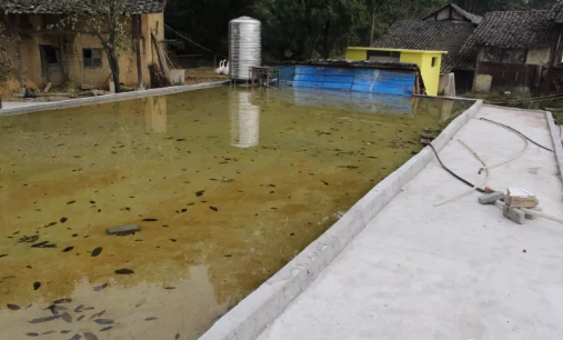 微信截图_20171106161552